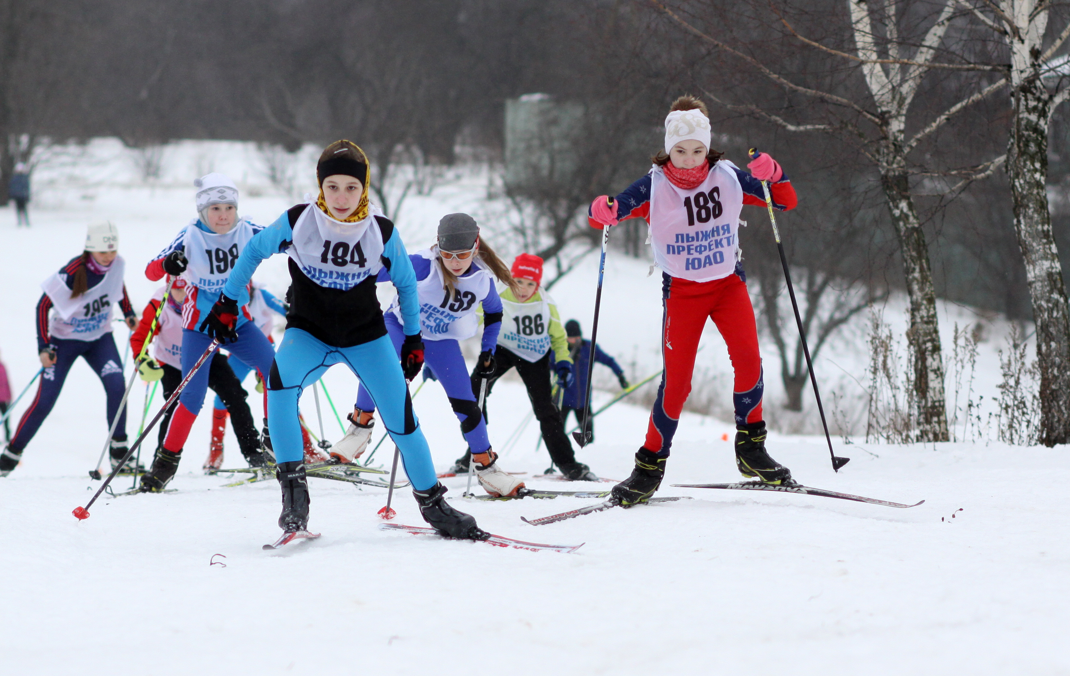 Маленькие лыжники. Лыжный спорт дети. Лыжные гонки. Лыжи соревнования. Лыжные гонки дети.